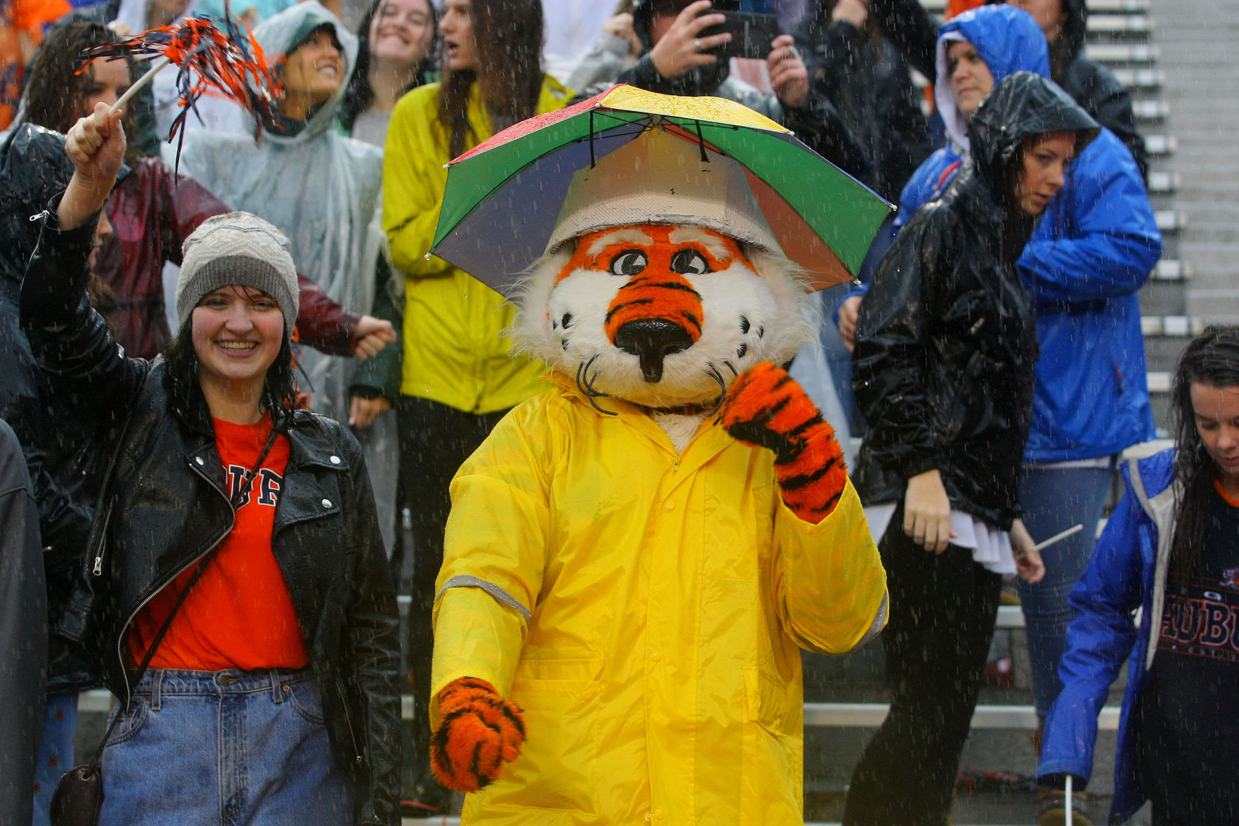 Auburn vs Samford